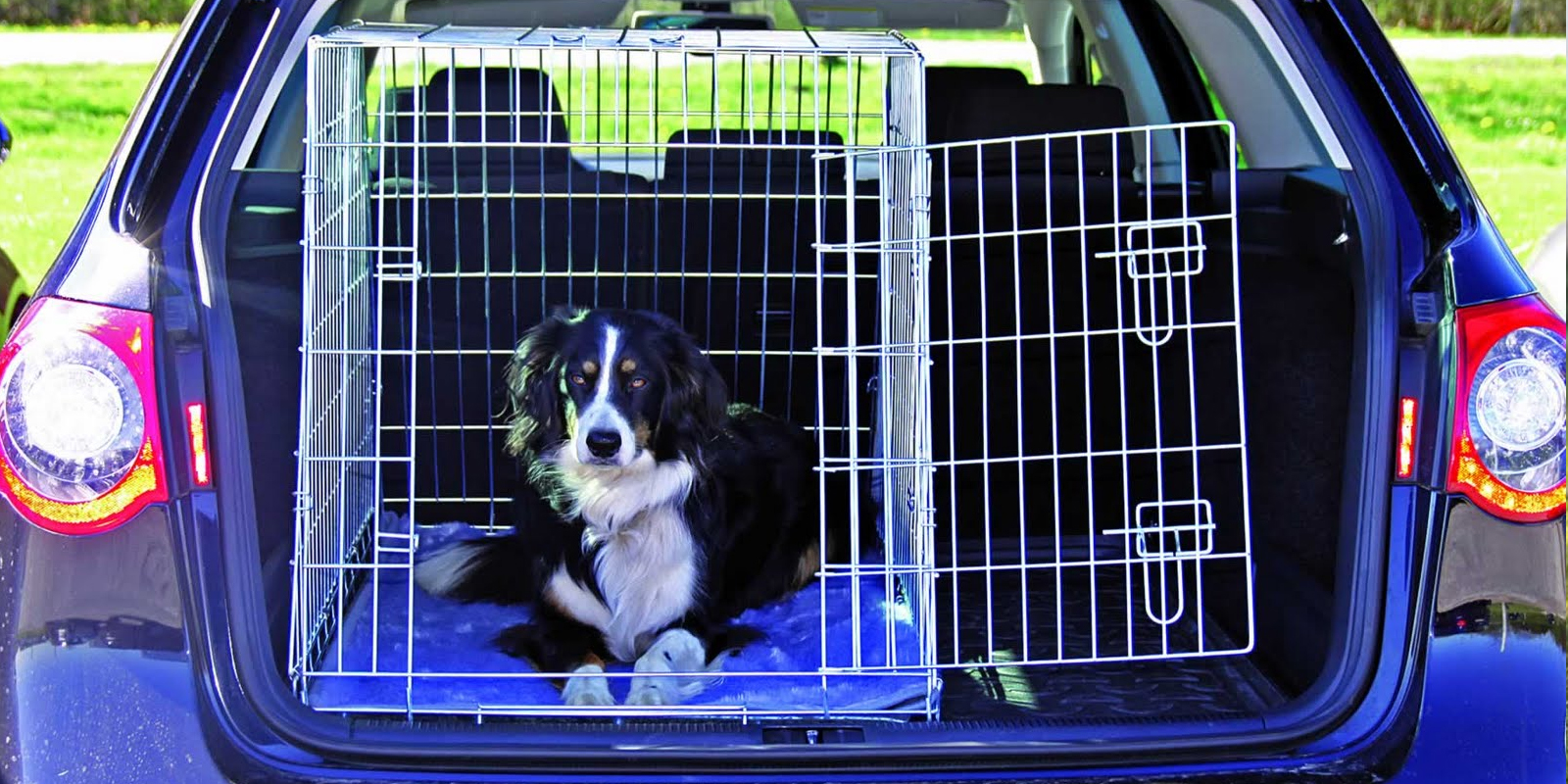 Jaulas para perros coche: Tu fiel compañero siempre seguro durante los paseos